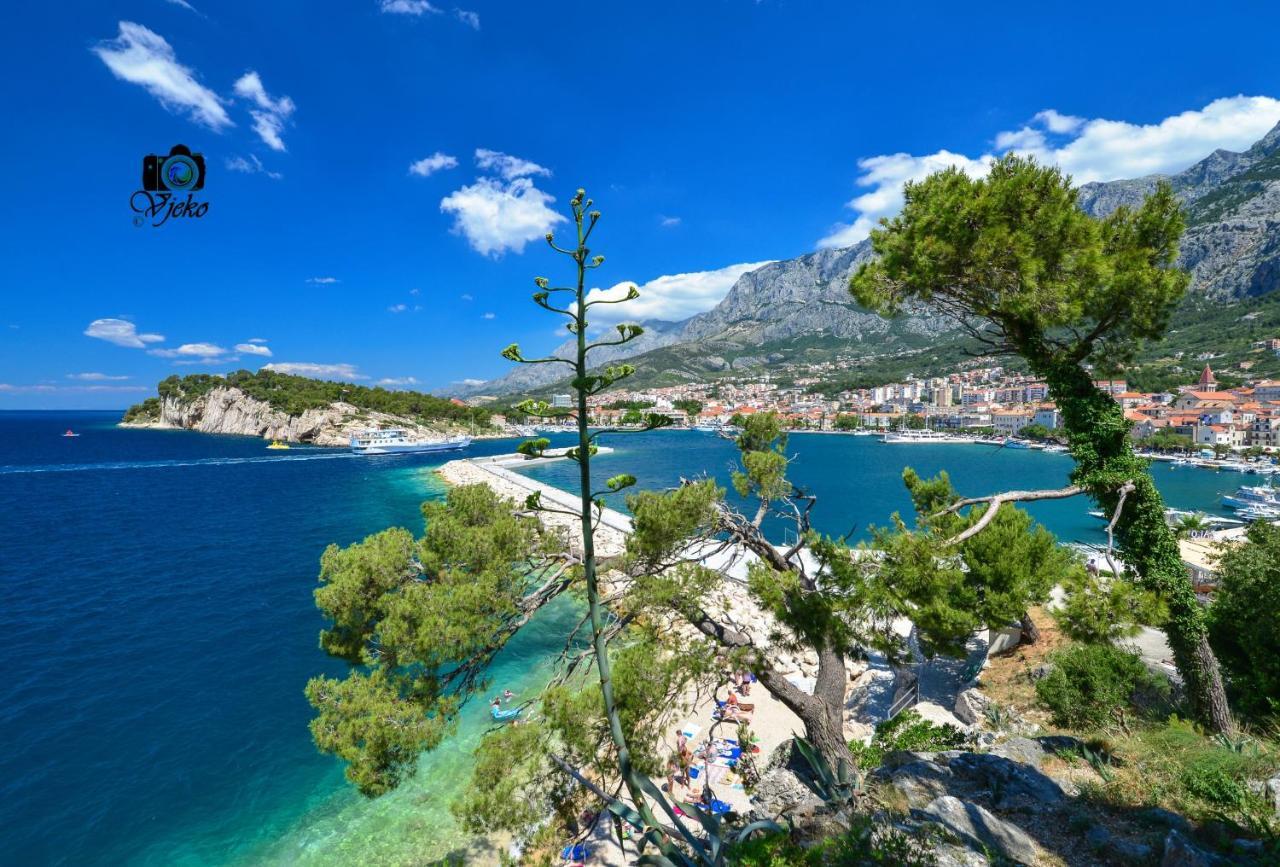 Maslina Apartment Makarska